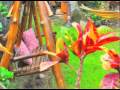 Bali Cottage Big Island Hawaii