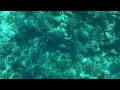 Hawaii - Maui - Day 2