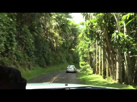 Onomea Road Hawaii