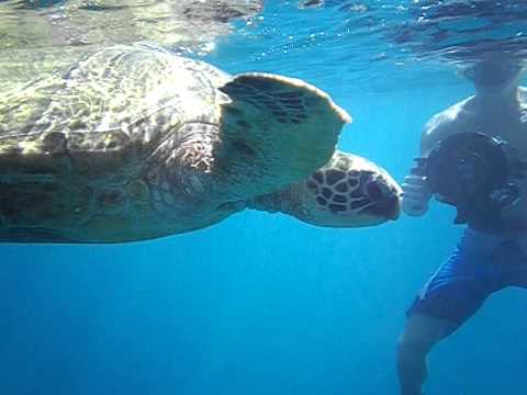lefty in Hawaii