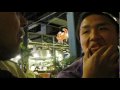 Quest Crew - Hawaii Assorted Mini-Tripe