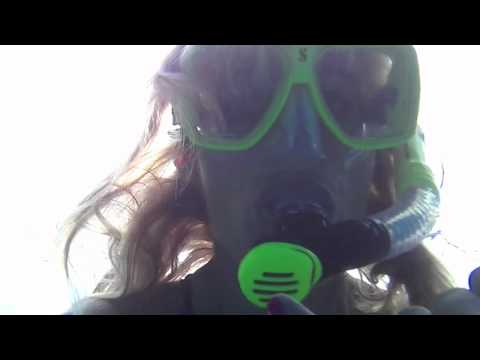 Swimming with the Dolphins in Hawaii, Big Island