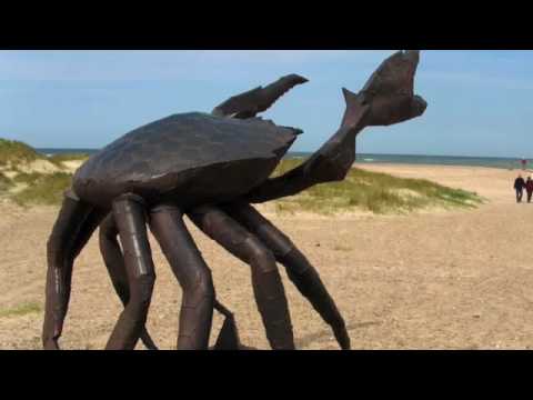 Crabman Catches Hawaii's Largest Crabs Crabman Catches Hawaii's Largest Crabs
