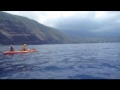 Hawaii Spin Dolphins Hawaii Spin Dolphins