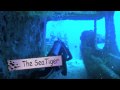 Hawaii scuba dive 6-27-10