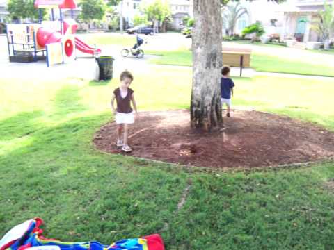 hawaii playground hawaii playground