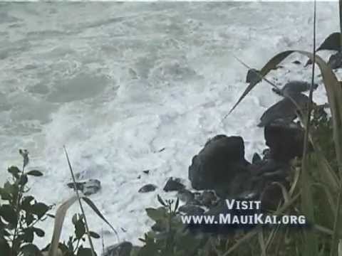 Maui Kai 806 presents retro images of Maui Ocean Beach & Hawaii Surf Paradise