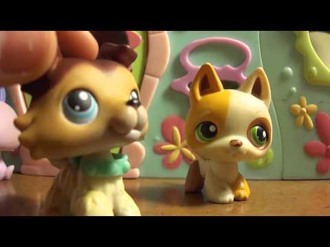 Littlest Pet Shop - TAOR Episode 3: New Friend, Long Friend The Adventures Of Randomness
