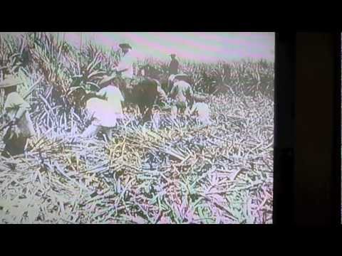 Japanese emigration to Hawaii