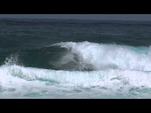 Hawaii Bodyboard Leftovers