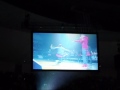 Justin Bieber Hawaii - Introducing the dancers Justin Bieber Hawaii - Introducing the dancers