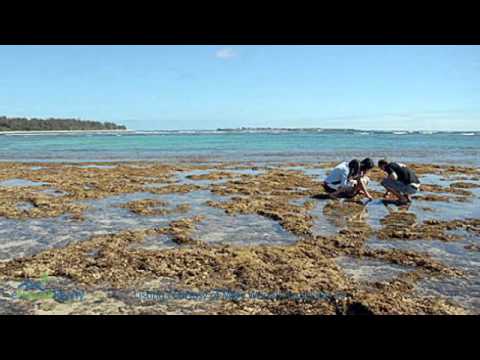 Hawaii Real Estate - 55-599 Kamehameha Hwy, Laie, Oahu, Hawaii Home For Sale