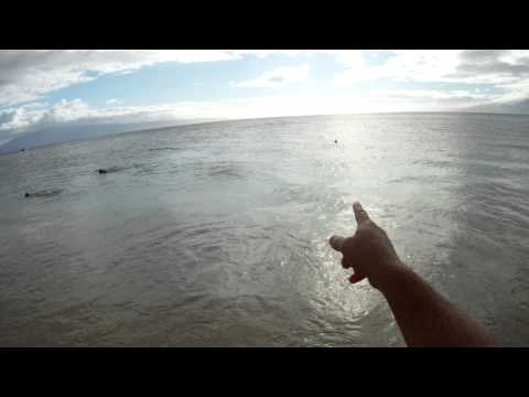 Snorkeling on Airport Beach Maui Hawaii
